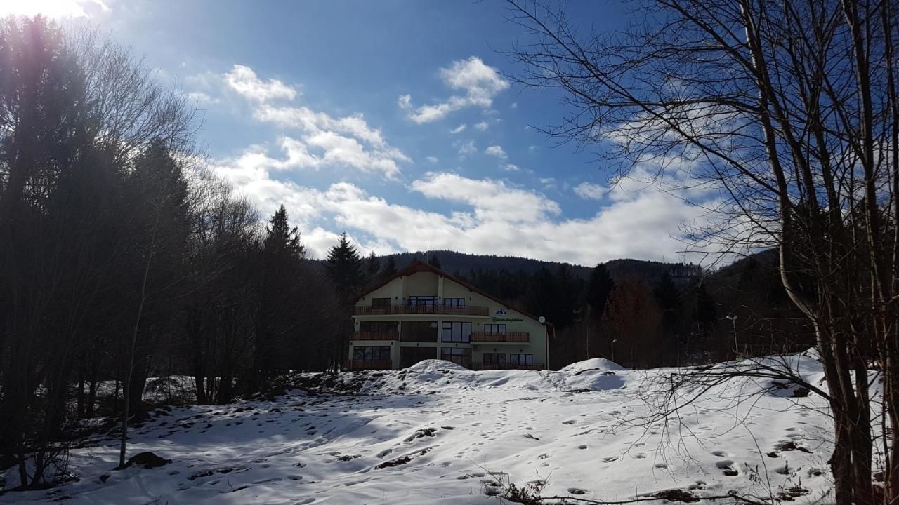 Отели типа «постель и завтрак» Casuta Din Padure Drăguş-17