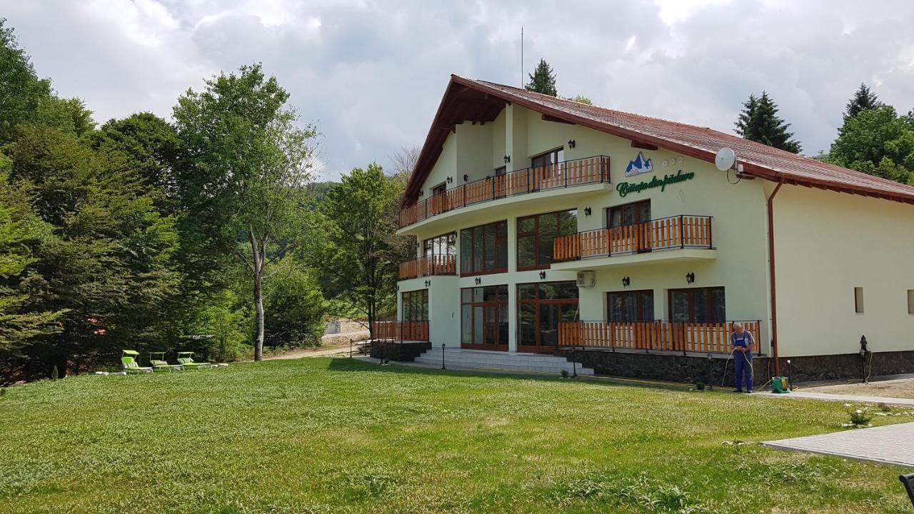 Отели типа «постель и завтрак» Casuta Din Padure Drăguş-10